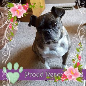 Meet your Posher, Alice